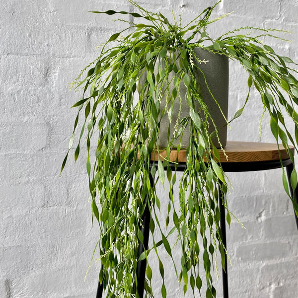 Artificial Hanging Willow Plant