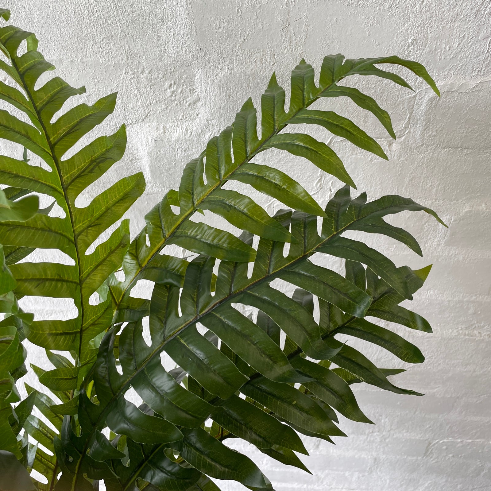 Artificial Hare's Foot Fern