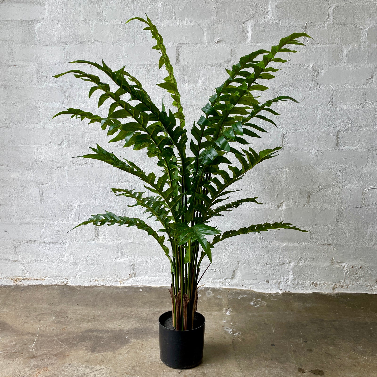 Artificial Hare's Foot Fern