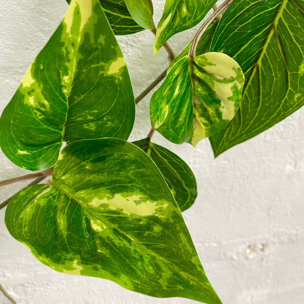 Artificial Pothos Vine | Outdoor Plant