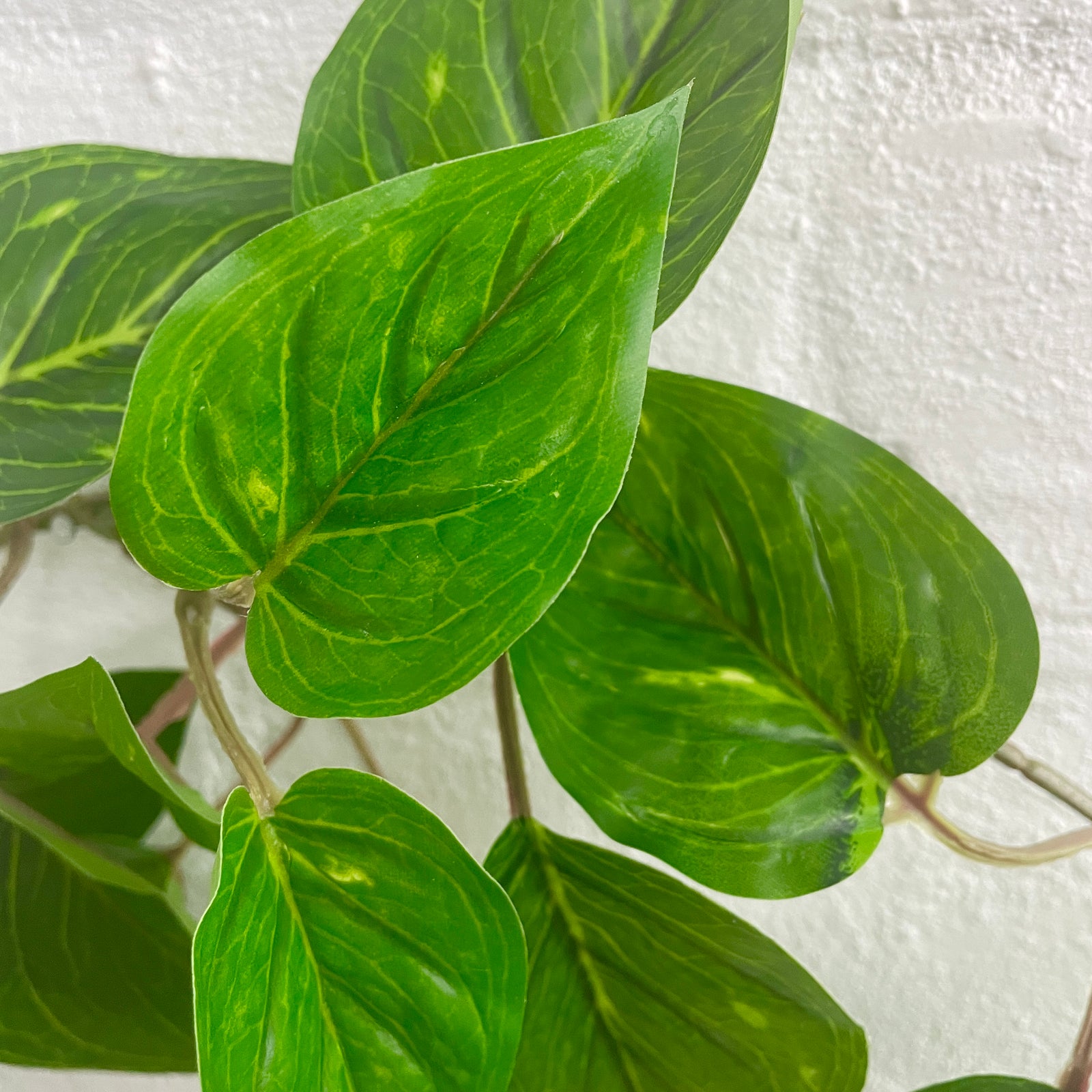Artificial Philo Vine | Outdoor Plant