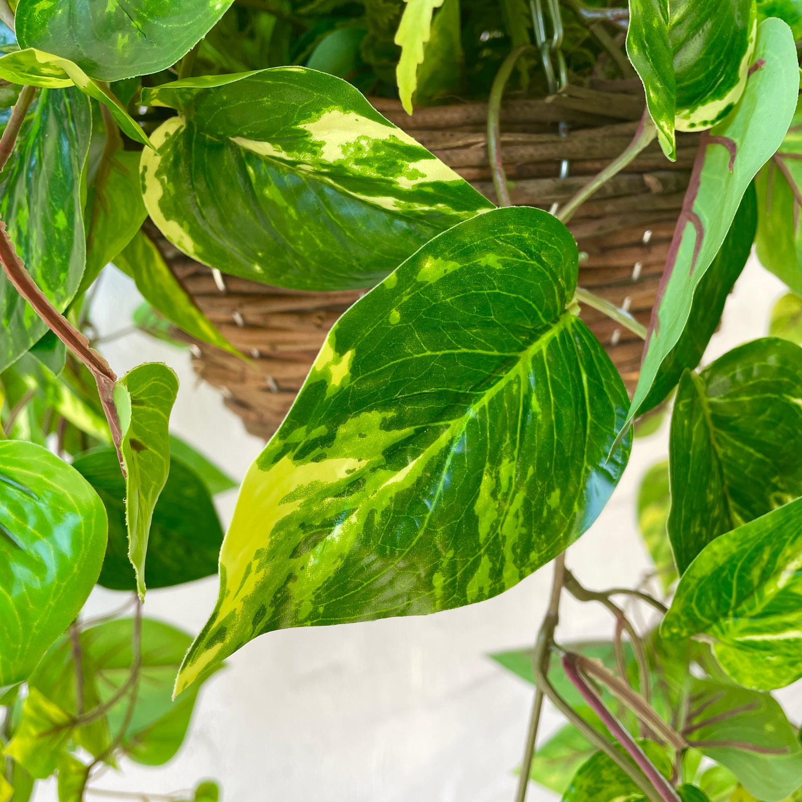 low maintenance outdoor hanging plants australia Outdoor Artificial Mixed Plant Hanging Baskets