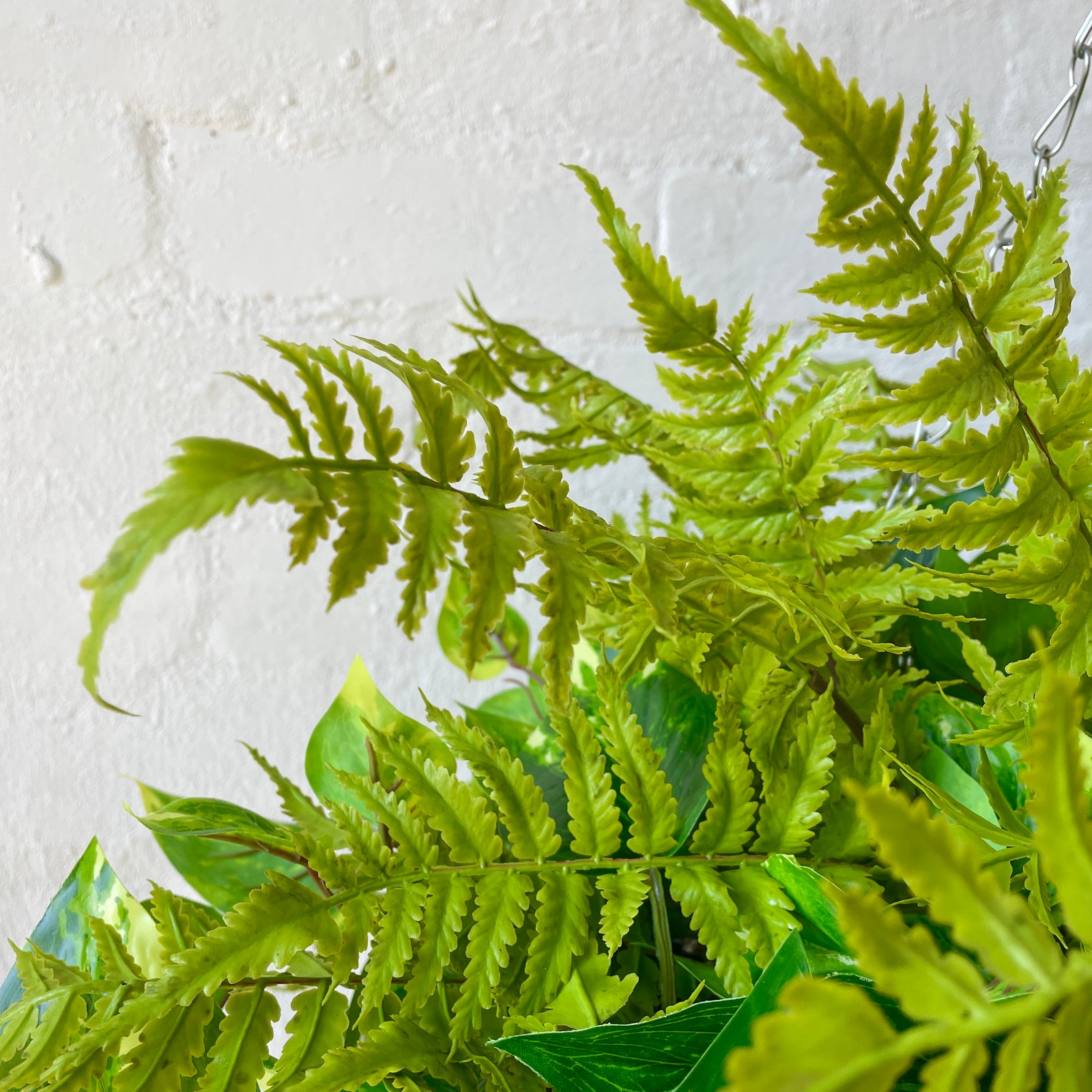 Large Outdoor Mixed Hanging Baskets | UV Protected