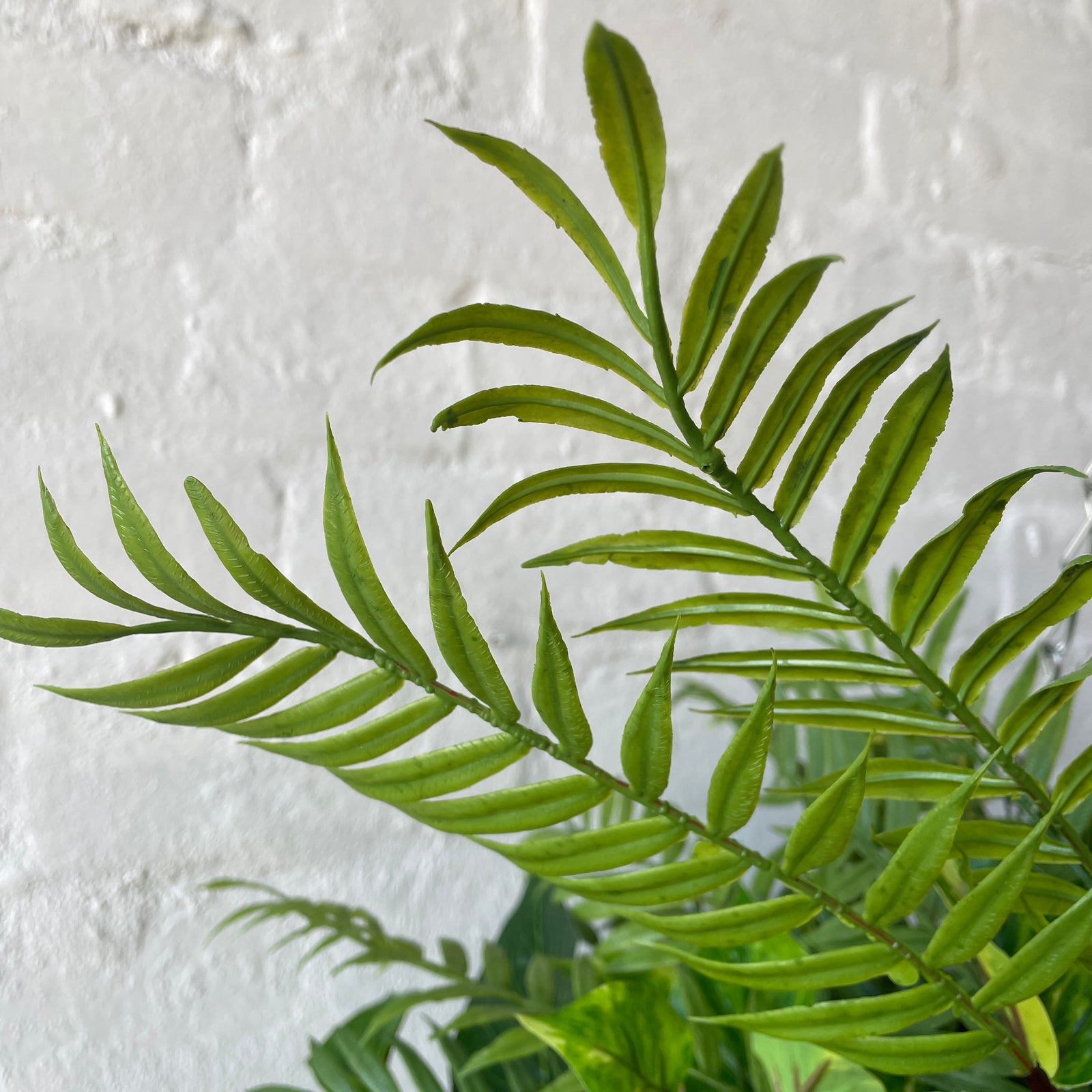 Large Outdoor Mixed Hanging Baskets | UV Protected