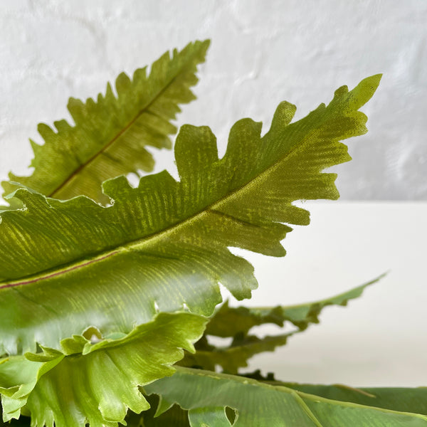 Artificial Asplenium Fern