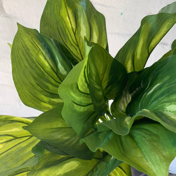 Artificial Variegated Hosta Plant