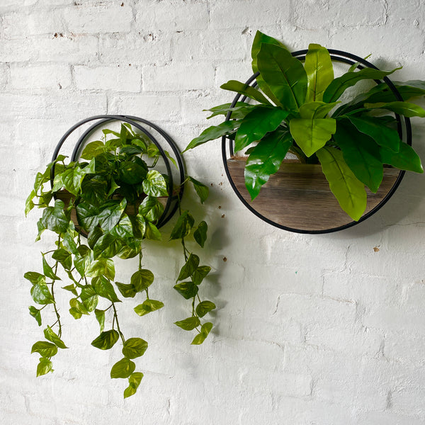 Half Moon Wall Planters | Brown Wood