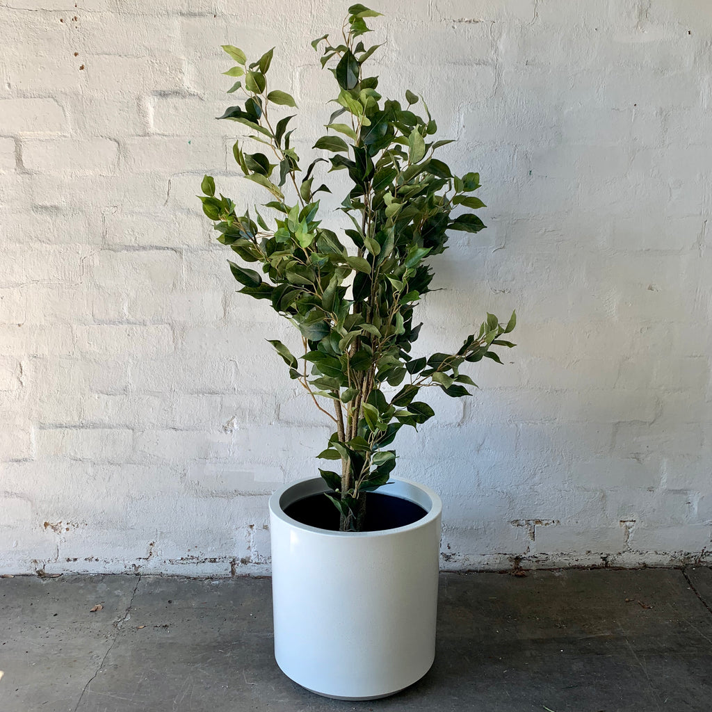 Artificial Small Ficus Tree