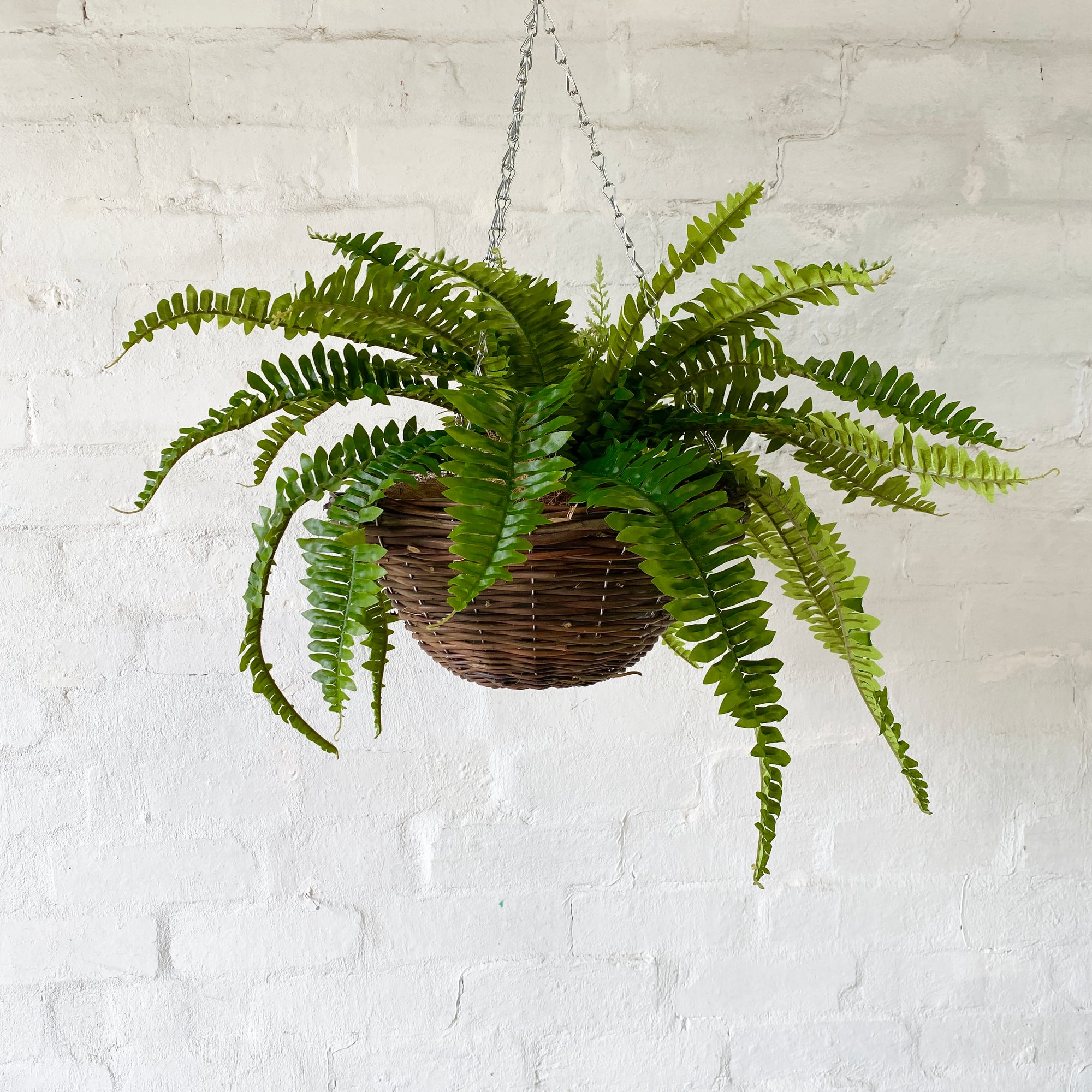 Artificial Pre Made Hanging Basket | Woven Basket with Boston Fern