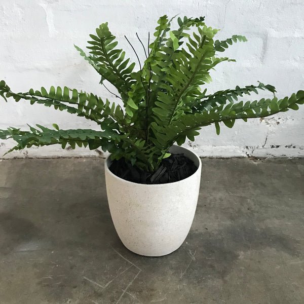 Artificial Boston Fern Plant