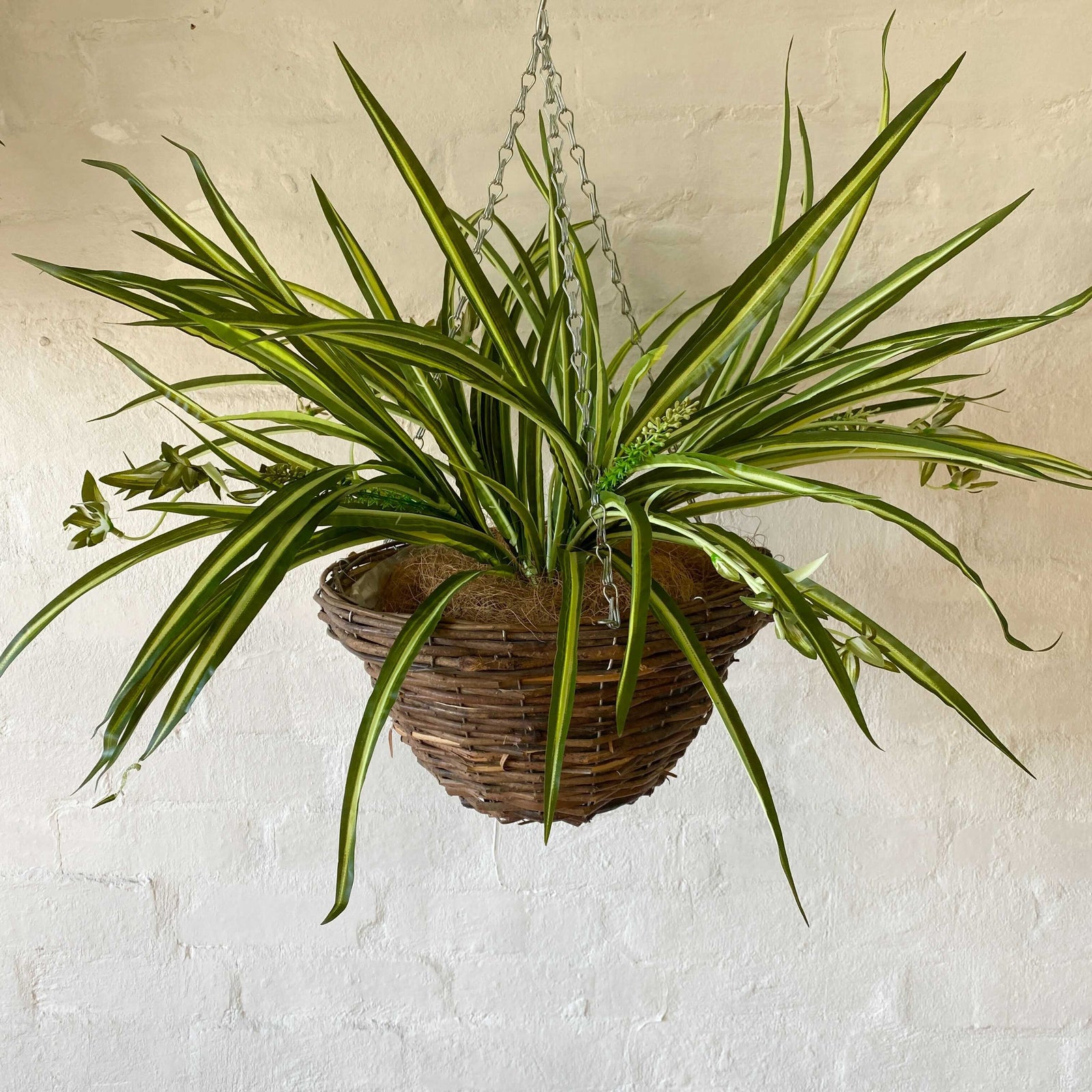 Artificial Pre Made Hanging Basket | Woven Basket with Spider Plant