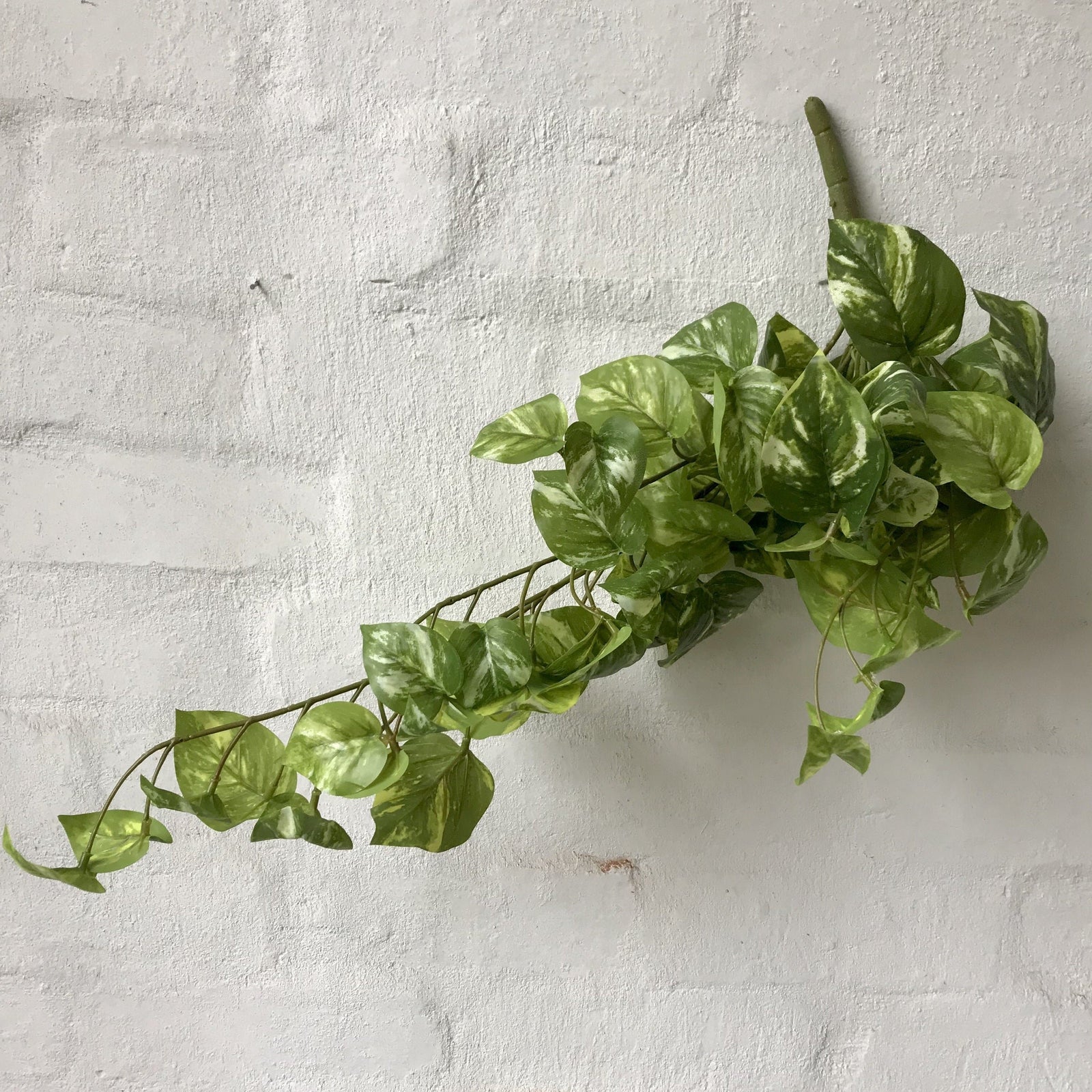 fake marble pothos Artificial Marble Pothos
