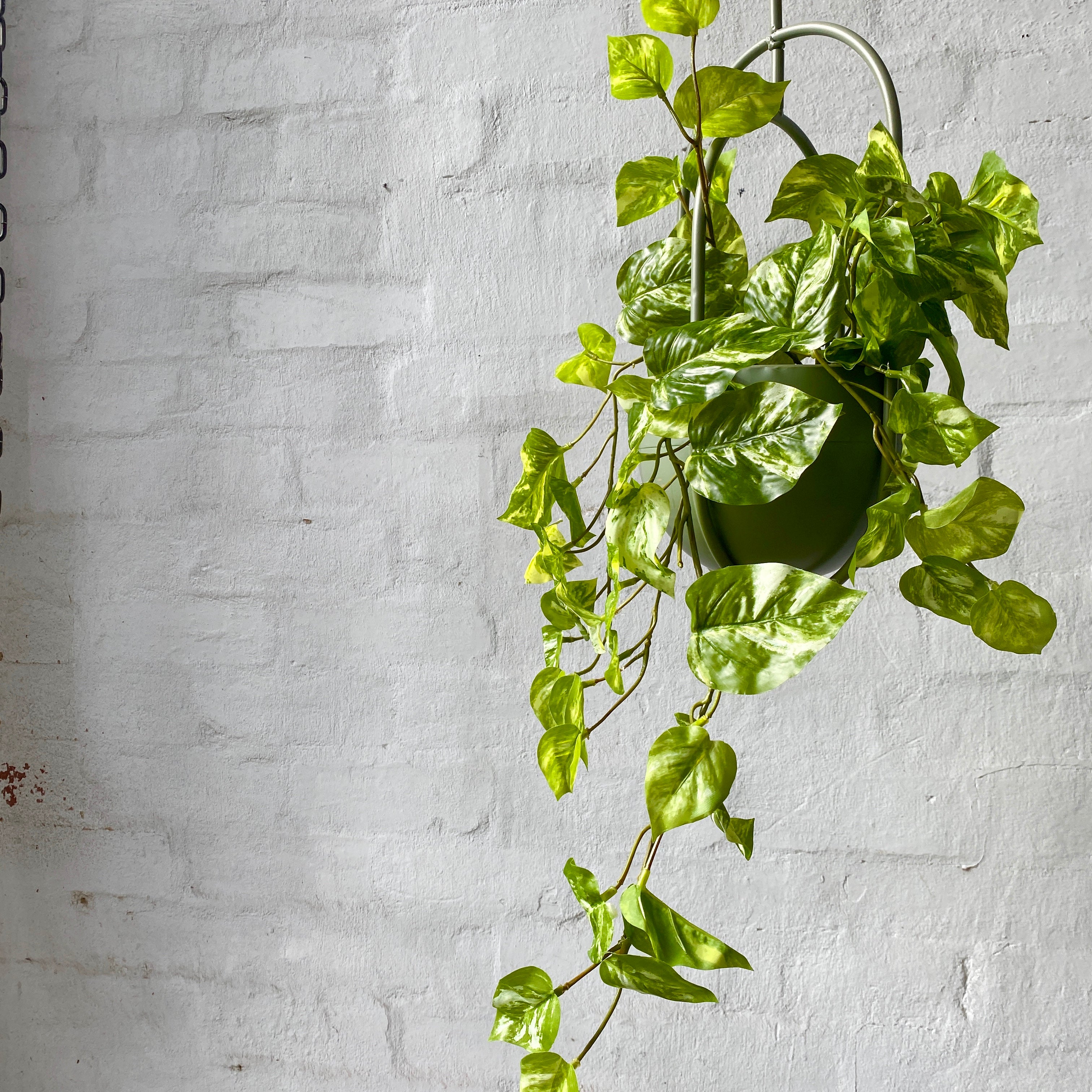 hanging marble pothos Artificial Marble Pothos