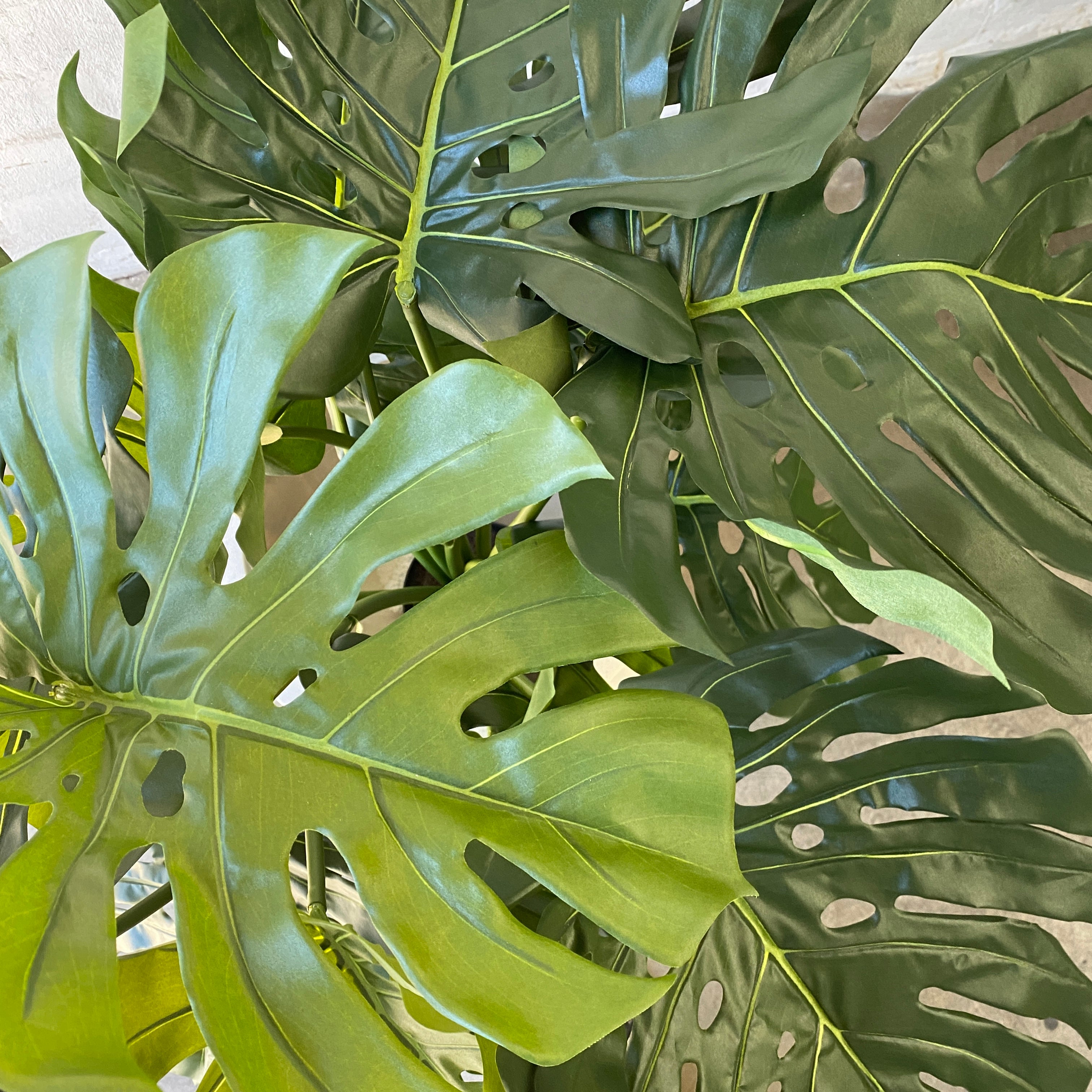 fake swiss cheese plant Extra Wide Artificial Monstera Plant