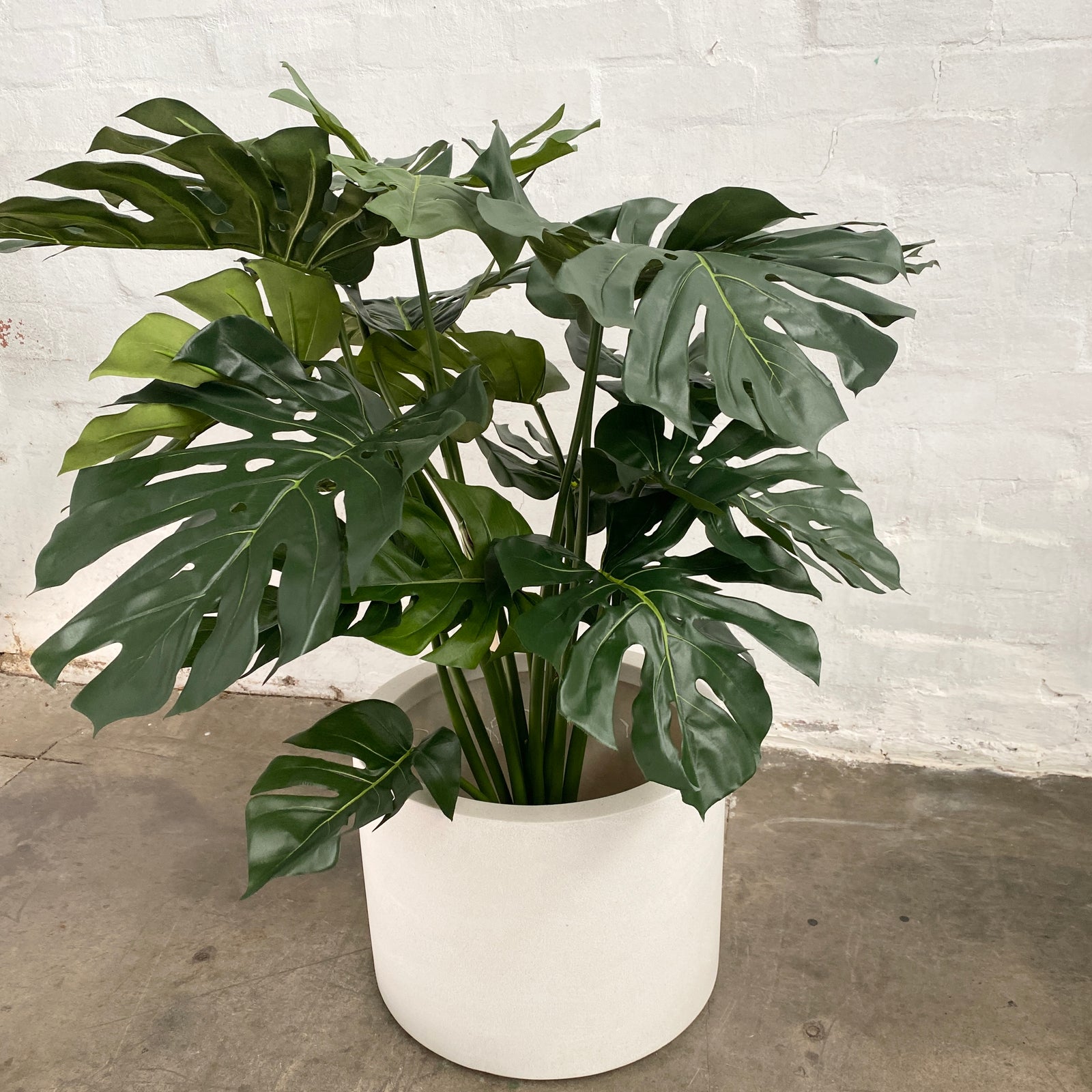 Artificial Monstera Plant | Extra Wide