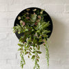Artificial Native Greenery Design for Wall Planter
