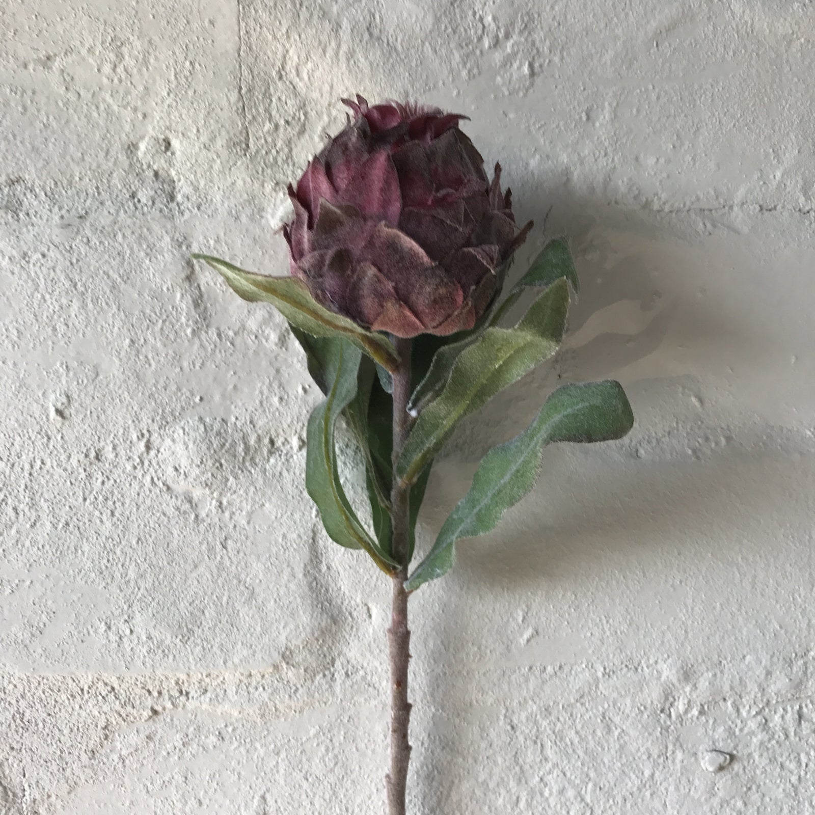 Artificial Open Protea Stems | 3 Stems