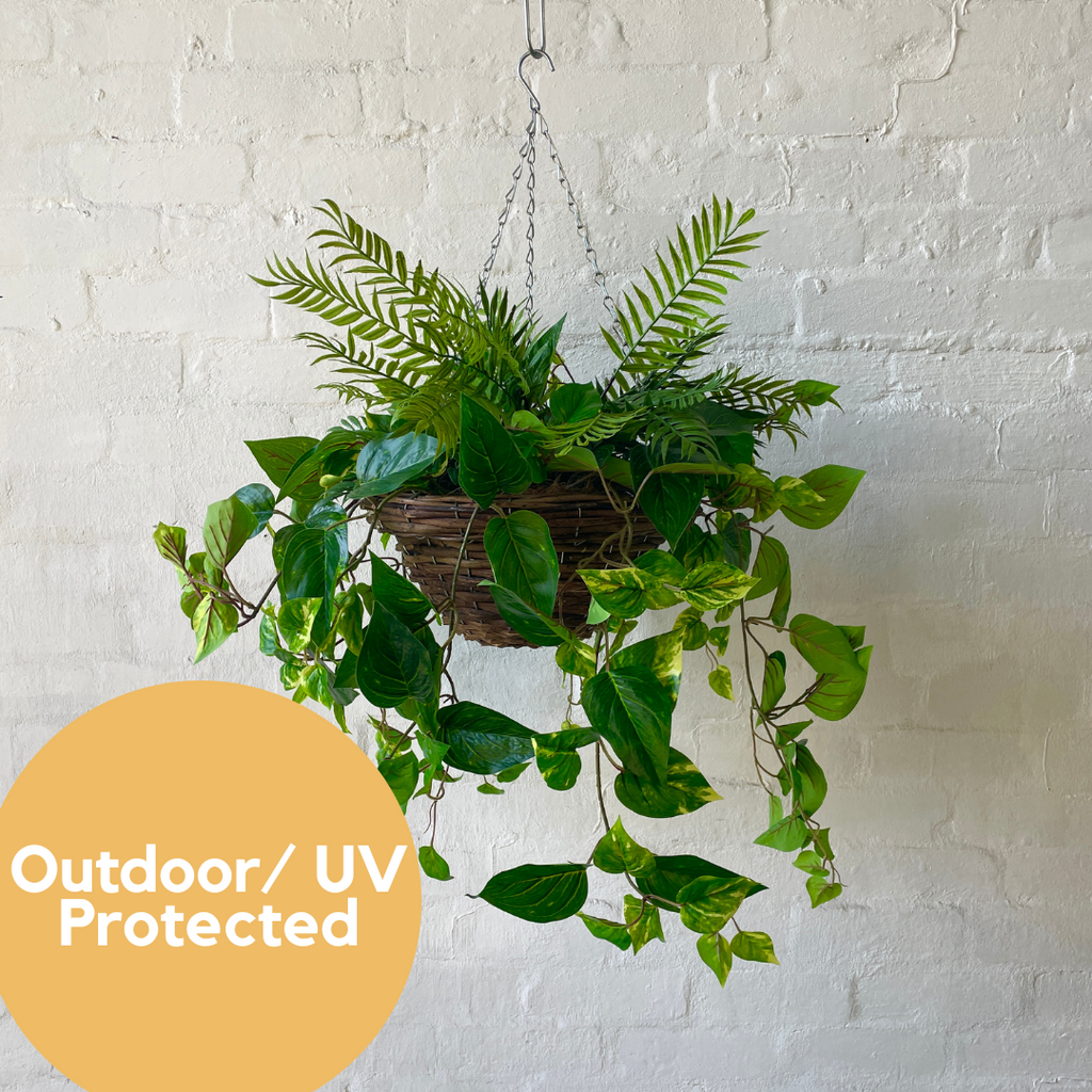 Large Outdoor Mixed Hanging Baskets UV Protected The Plants Project
