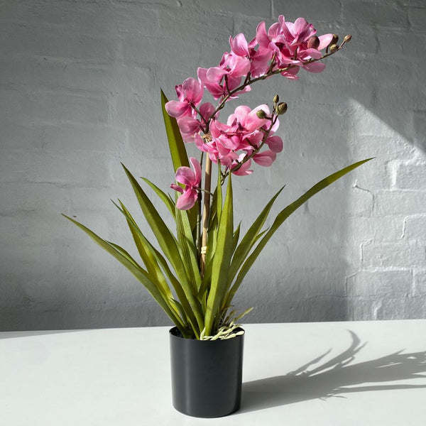 Artificial Pink Orchid