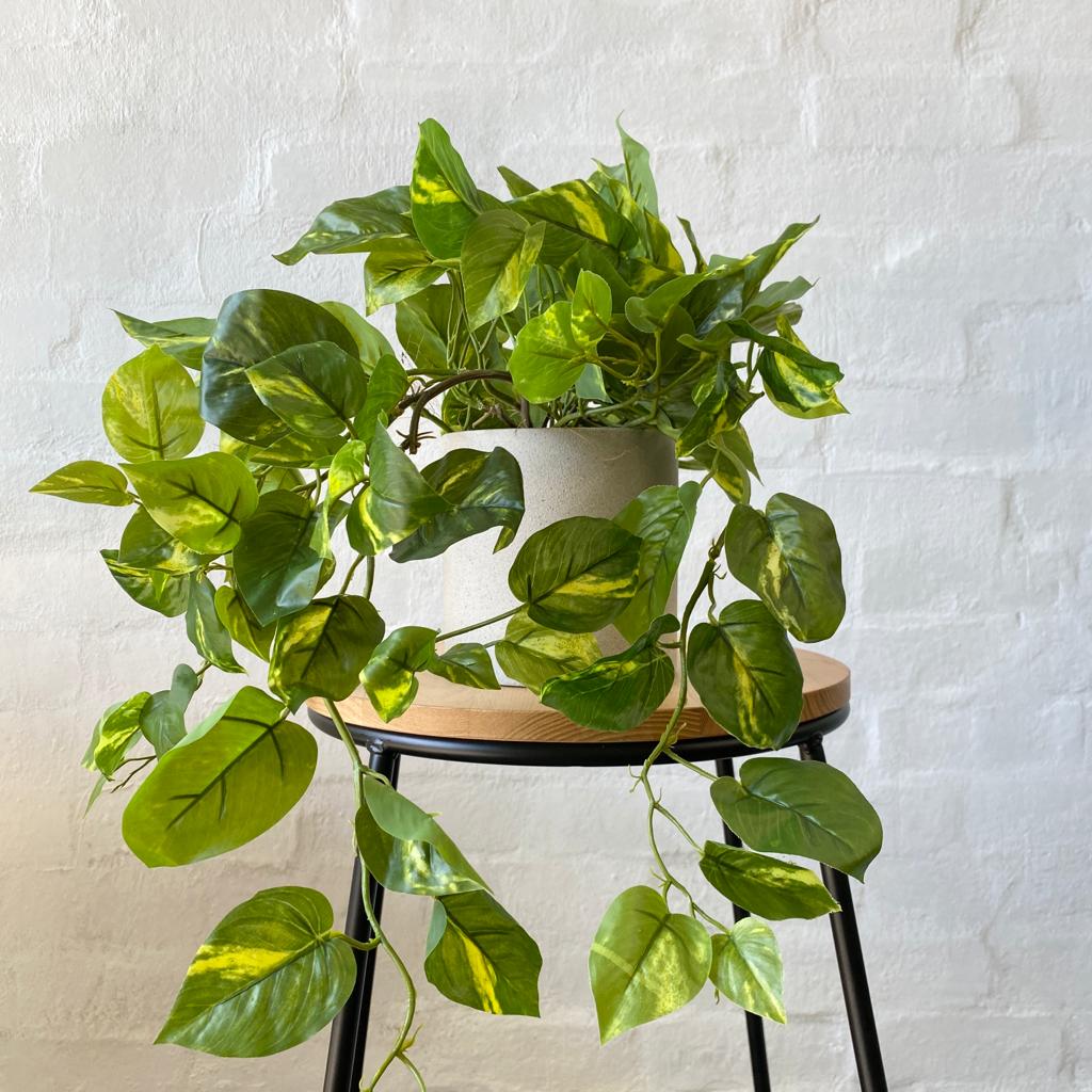 faux pothos plant Artificial Pothos Plant