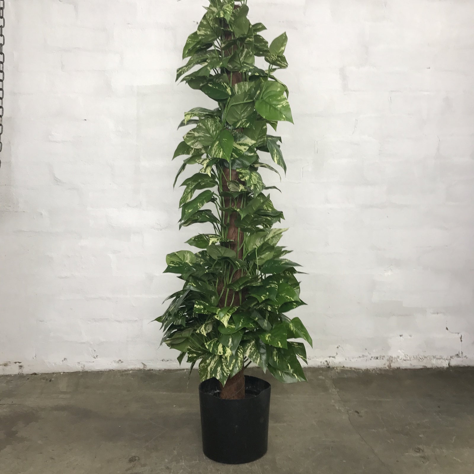 Artificial Pothos Totem Pole
