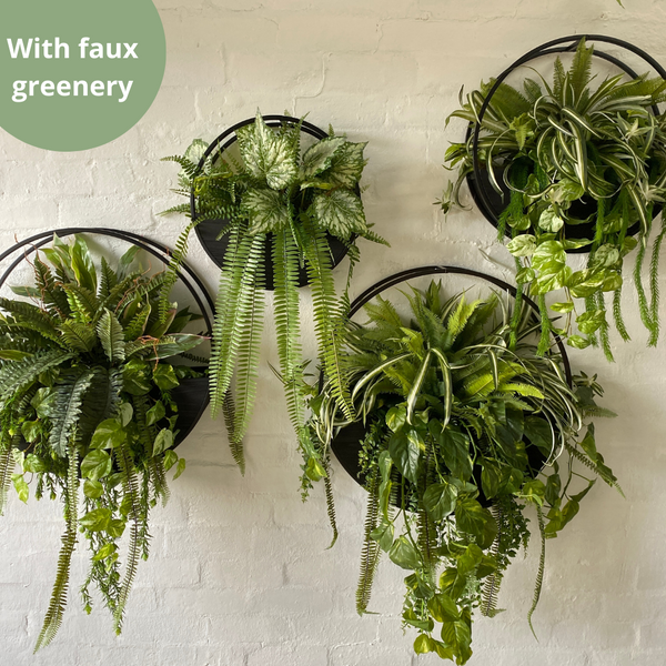 Half Moon Wall Planters | Rattan