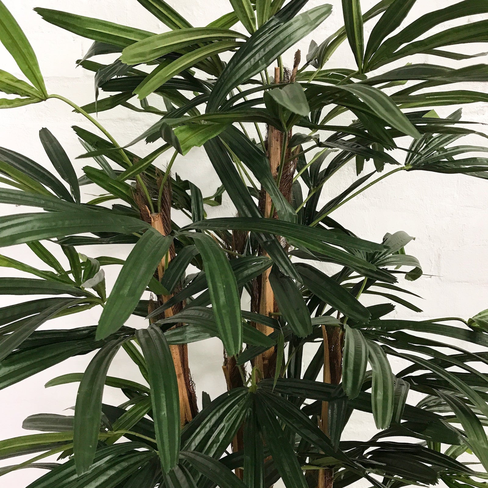 Artificial Raphis Palm Tree