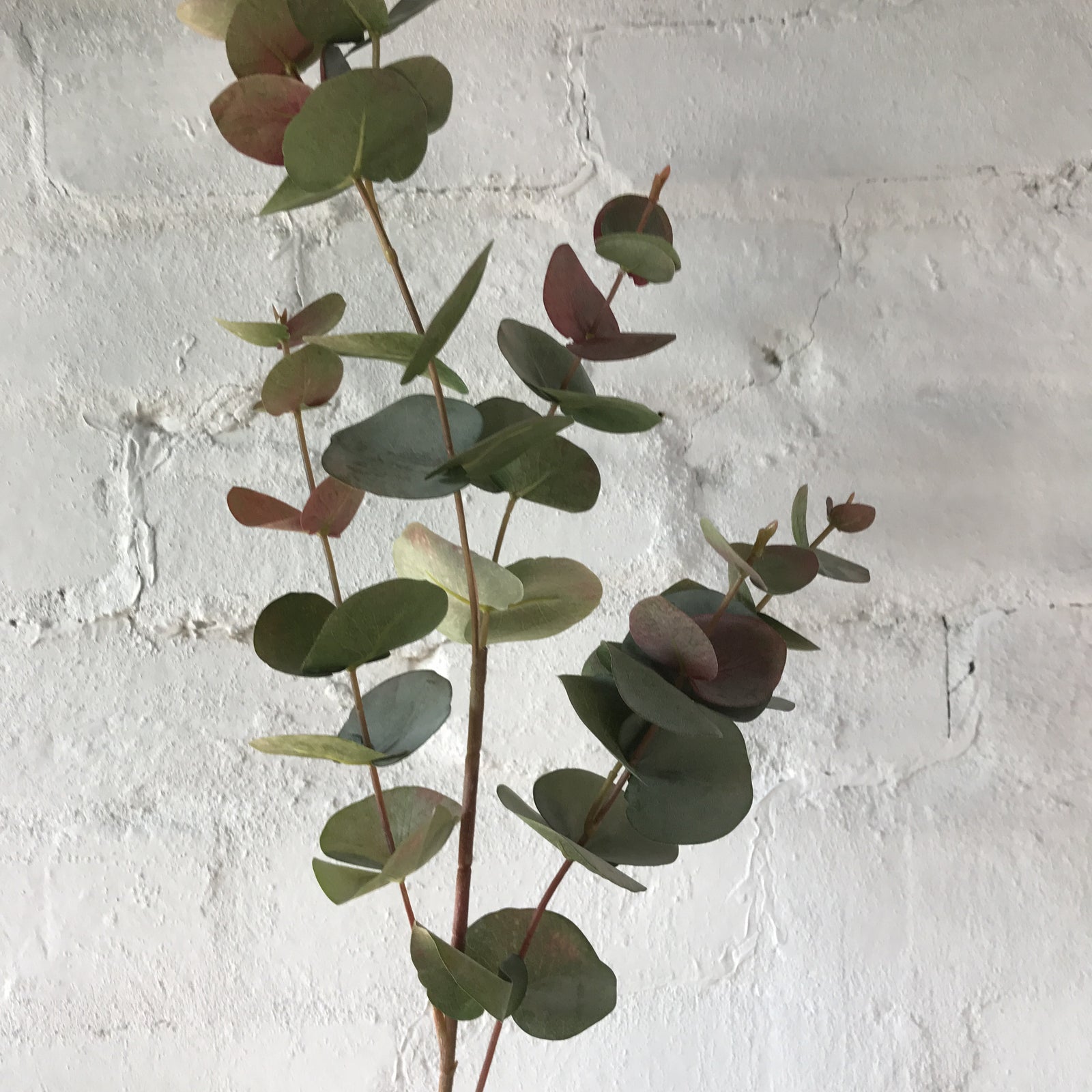 Artificial Red Gum Leaves | 2 Stems
