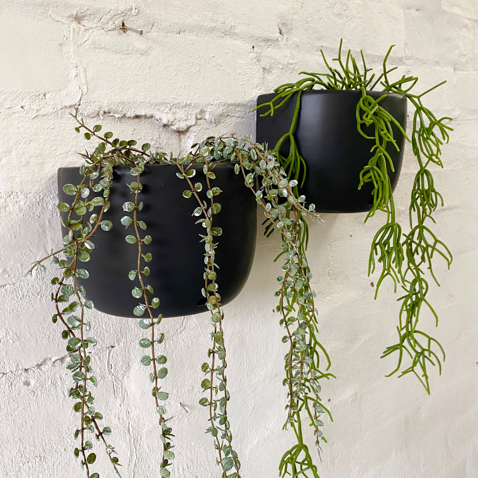 Scoop Ceramic Wall Planter | Black