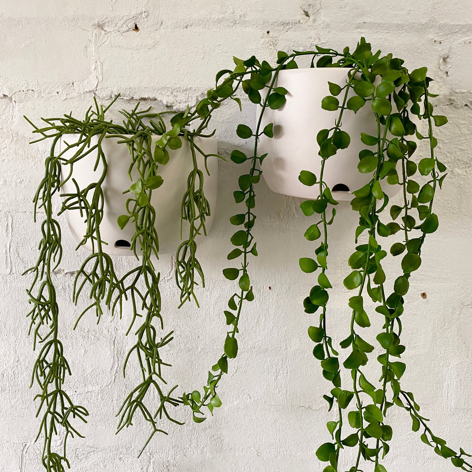 Scoop Ceramic Wall Planter | White