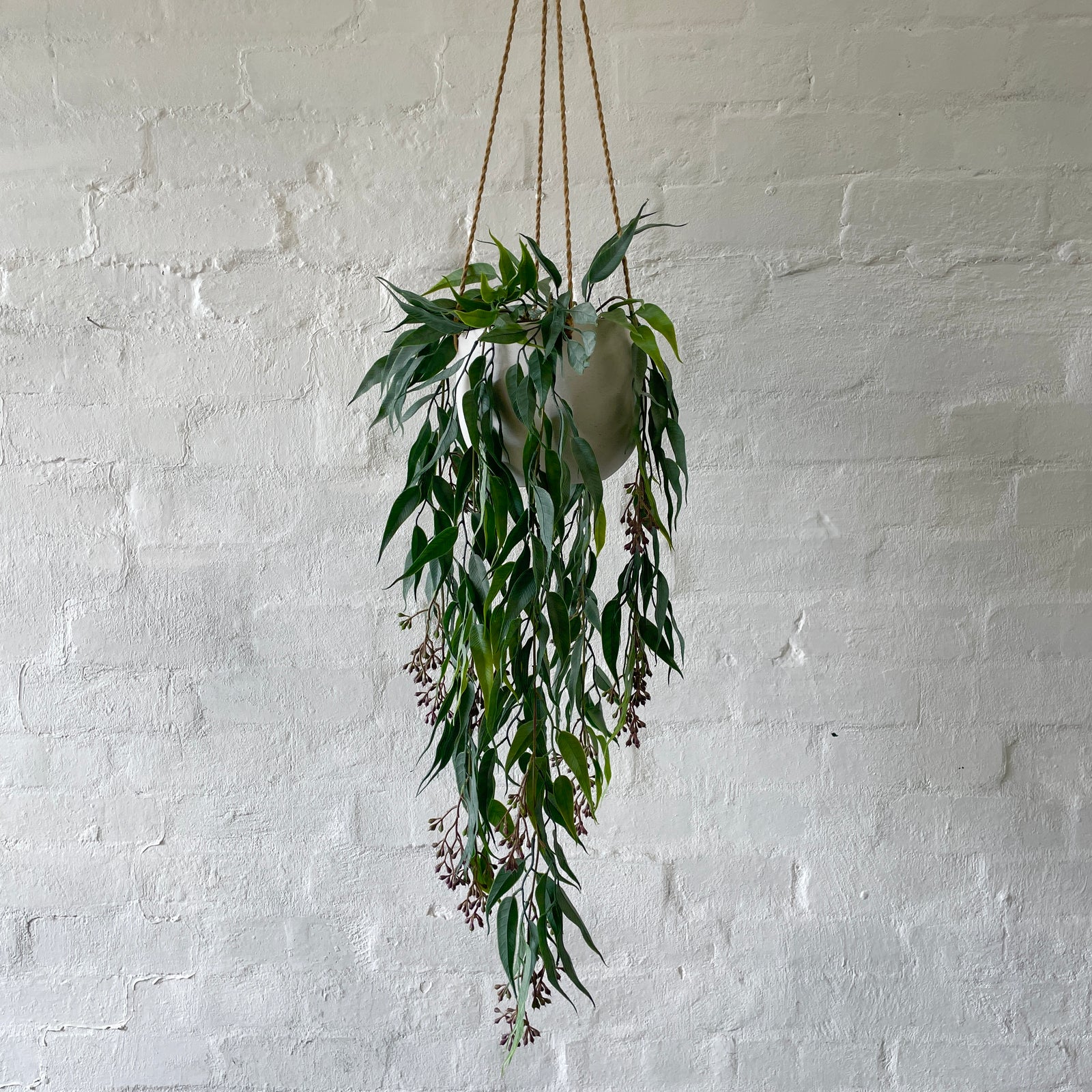 Artificial Hanging Seeded Gum | Purple