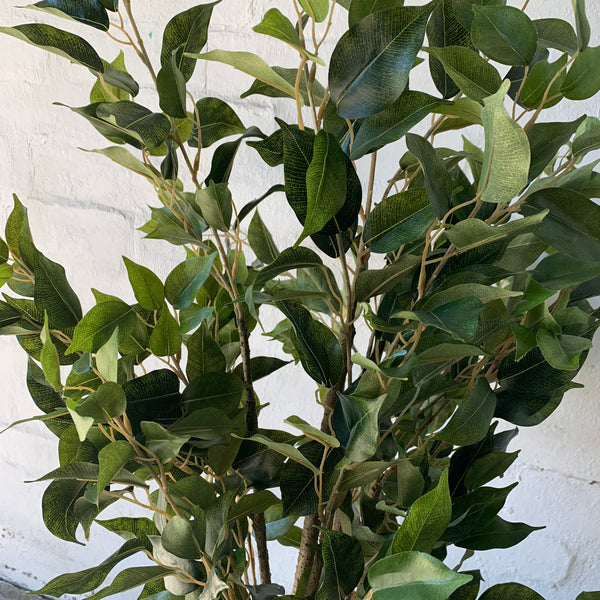 Artificial Small Ficus Tree