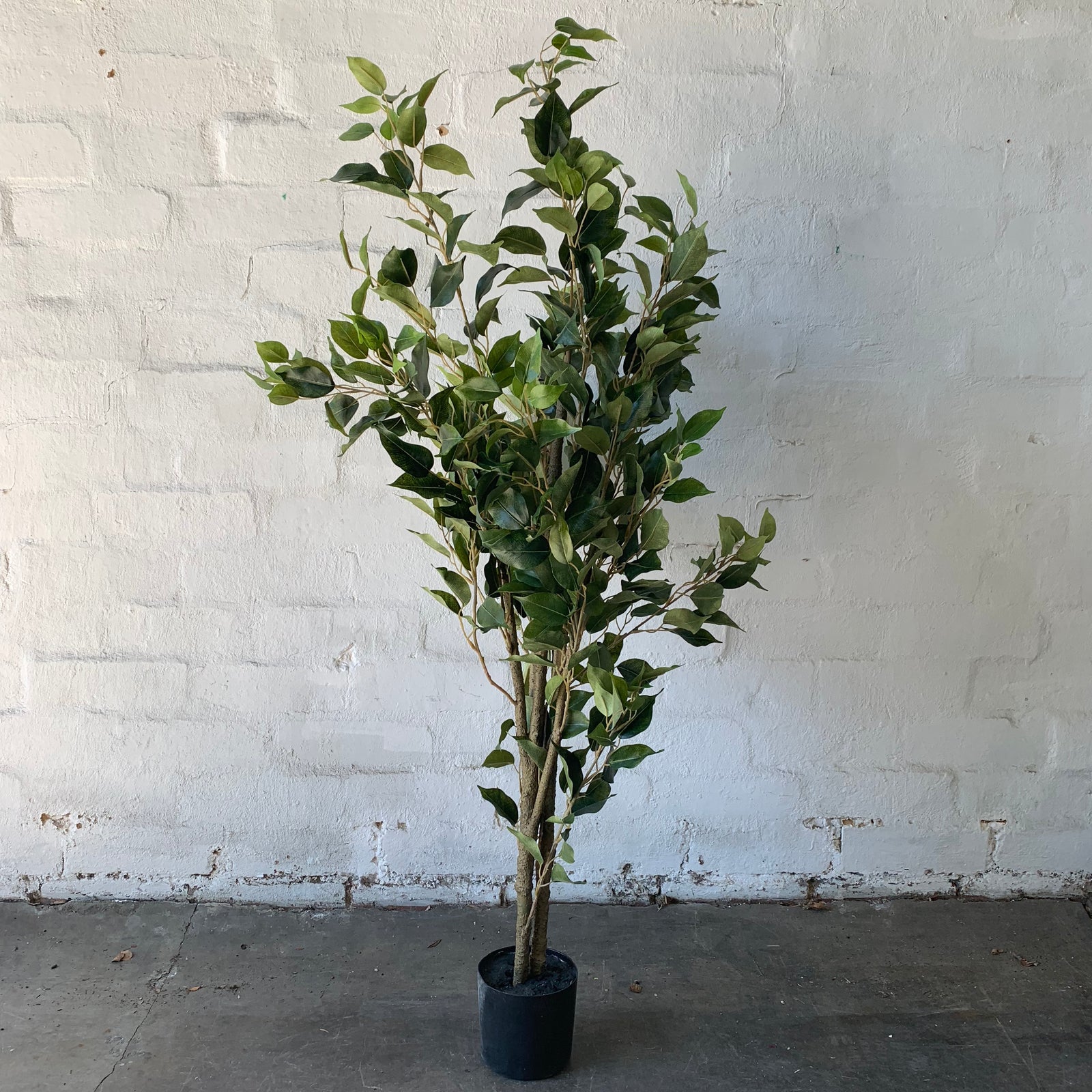 Artificial Small Ficus Tree