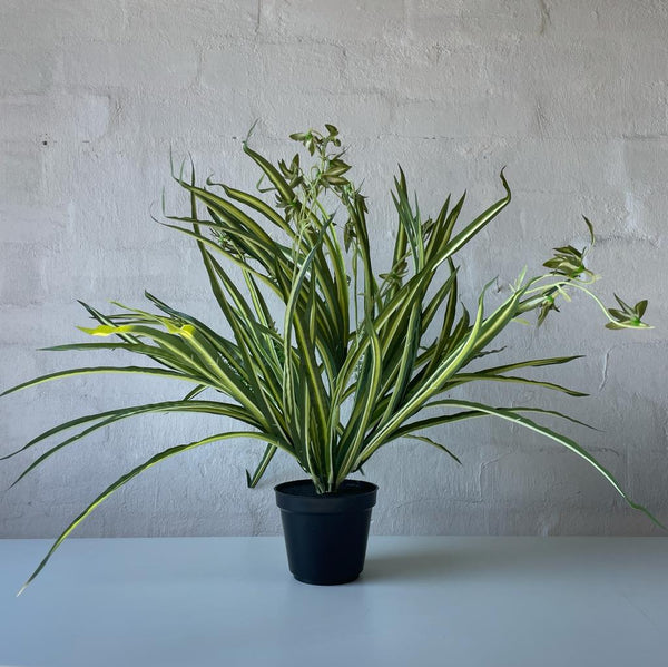 Artificial Spider Plant