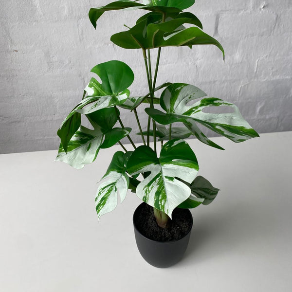 Artificial Thai Constellation Monstera