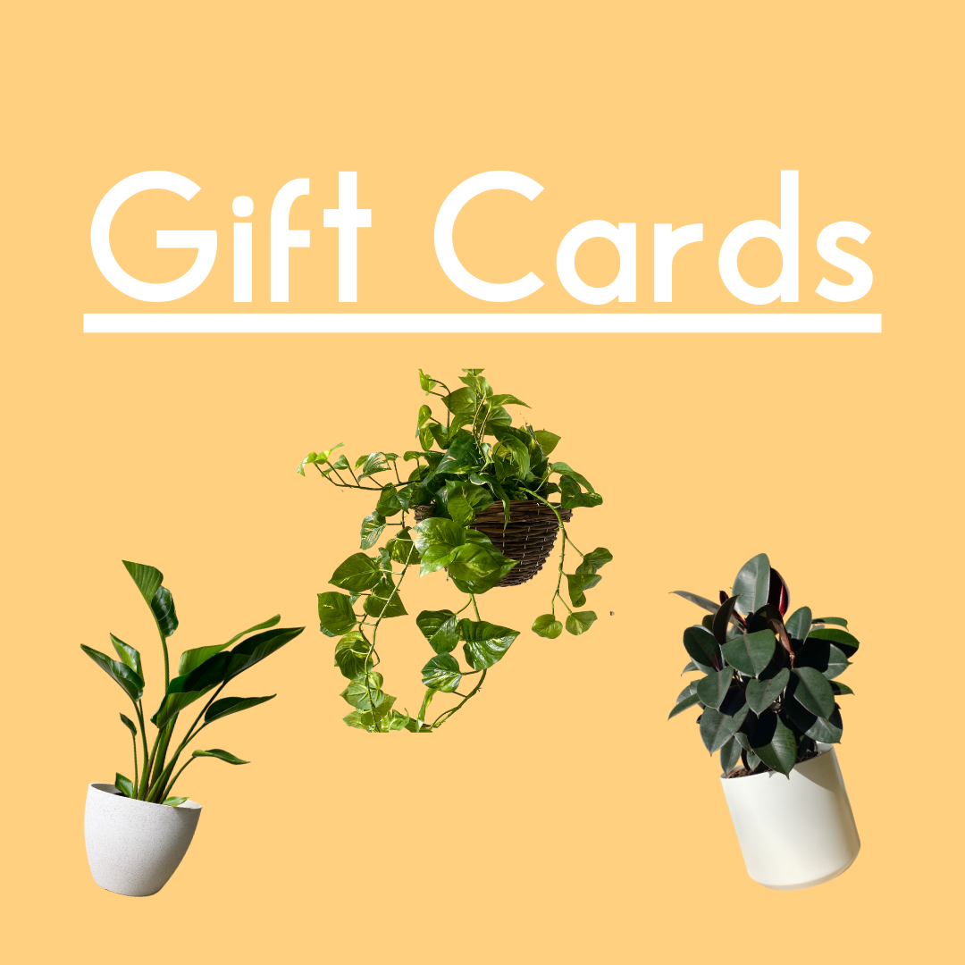 Gift Cards