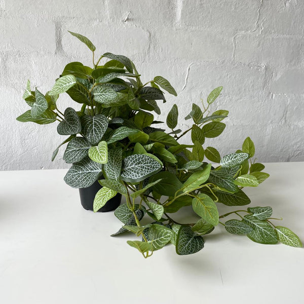 Artificial Fittonia Hanging Plant