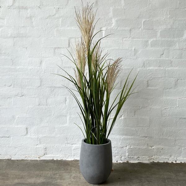 Artificial Pampas Grass Tree | Brown