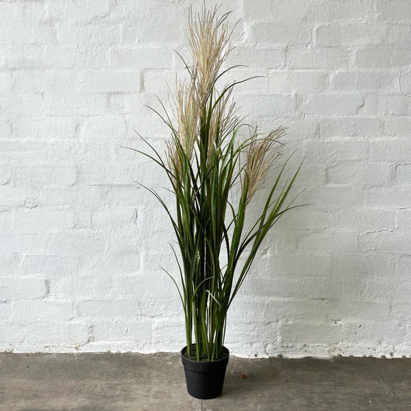 Artificial Pampas Grass Tree | Brown