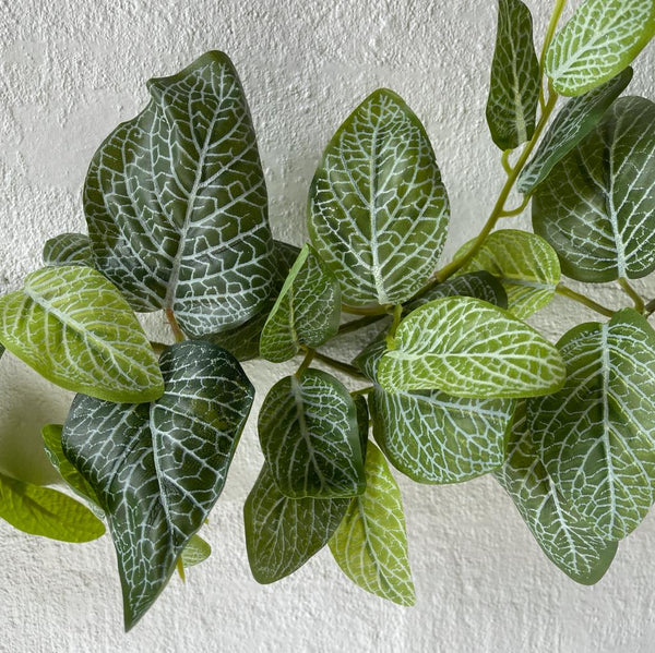 Artificial Fittonia Vine