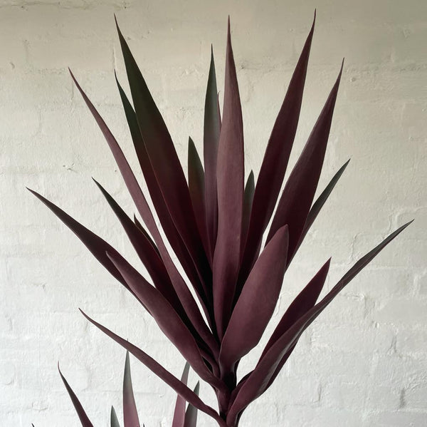 Artificial Yucca Tree | Burgundy