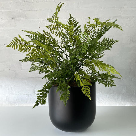 Artificial Royal Fern | Outdoor Plant
