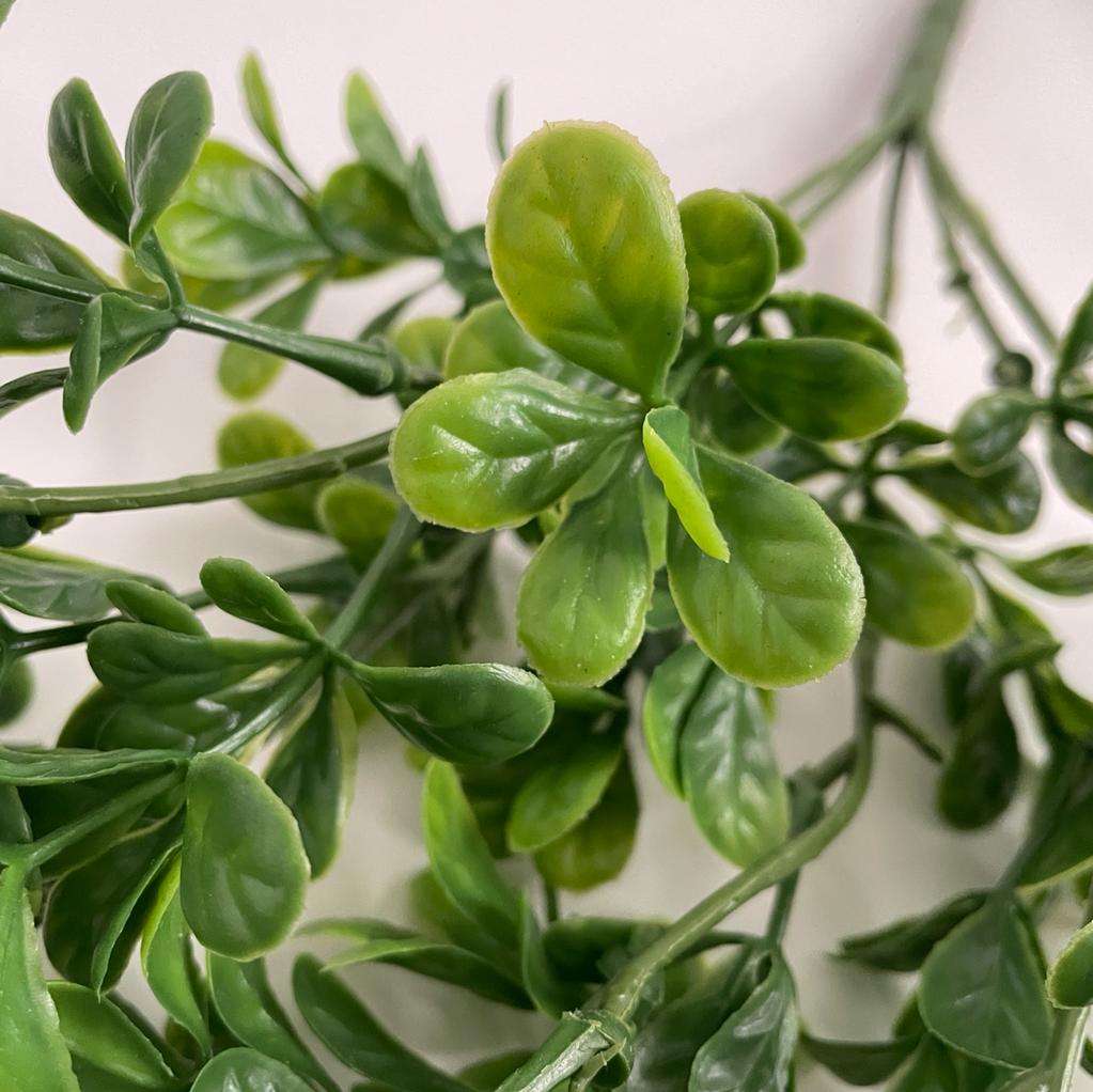 Artificial Hanging Ruscus | Outdoor