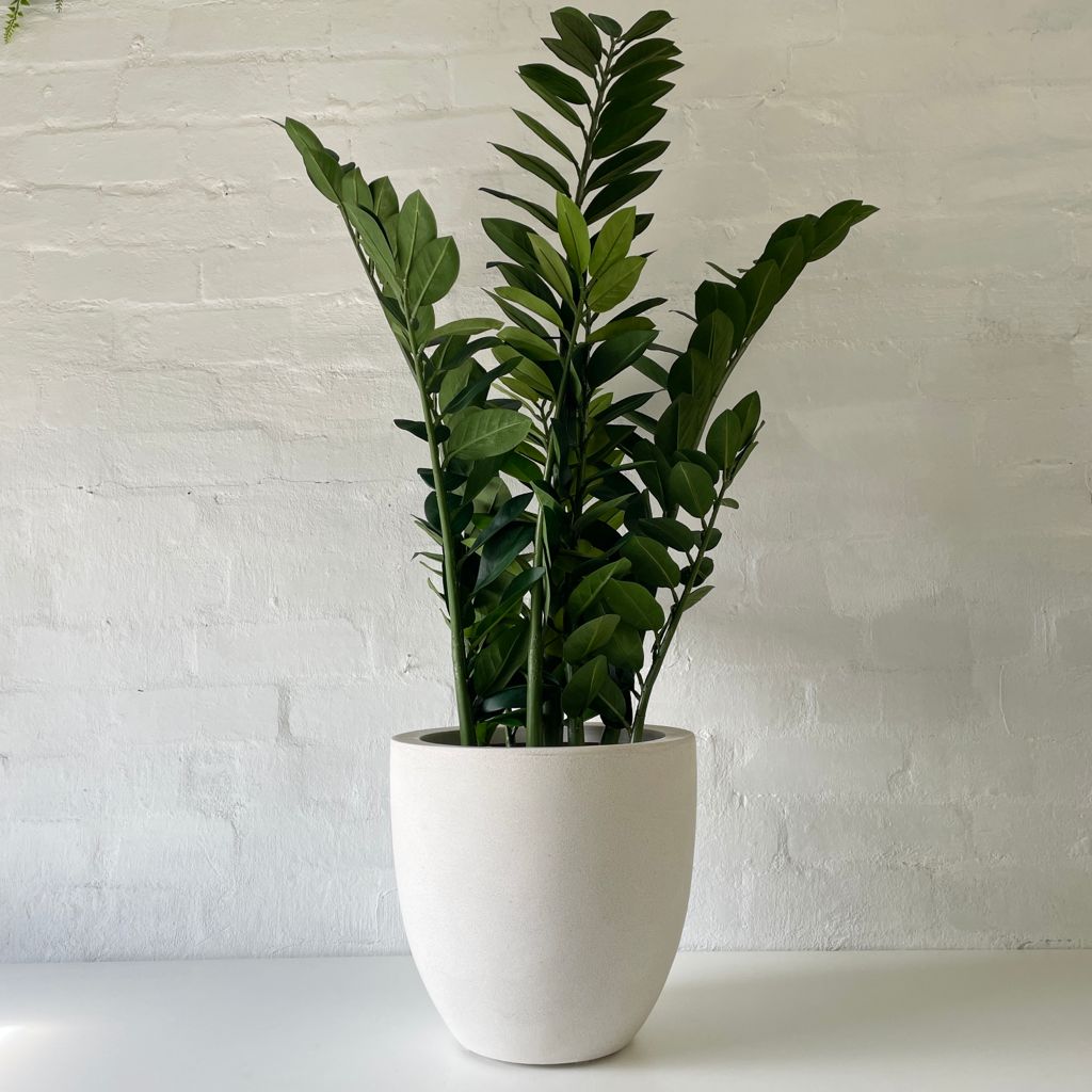 fake zz plants Potted Artificial Zanzibar Plant
