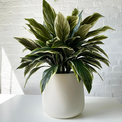 Artificial Chunky Cordyline Plant