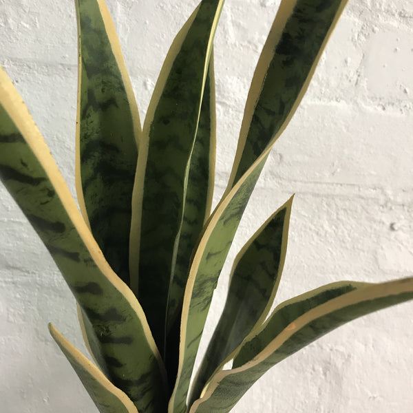 Artificial Sanseveria Plant