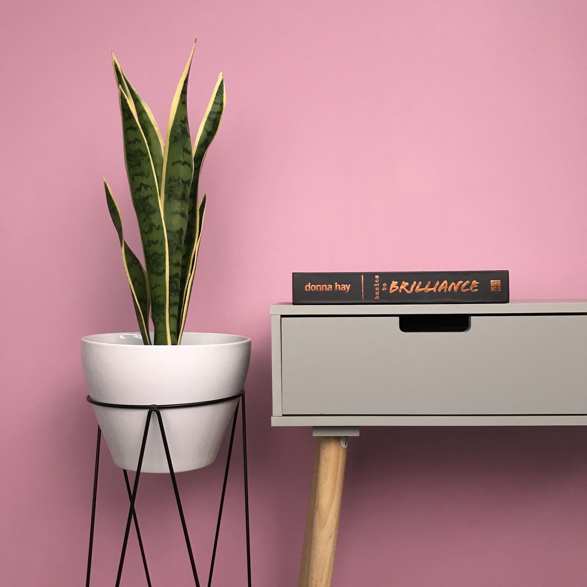 Artificial Snake Plant
